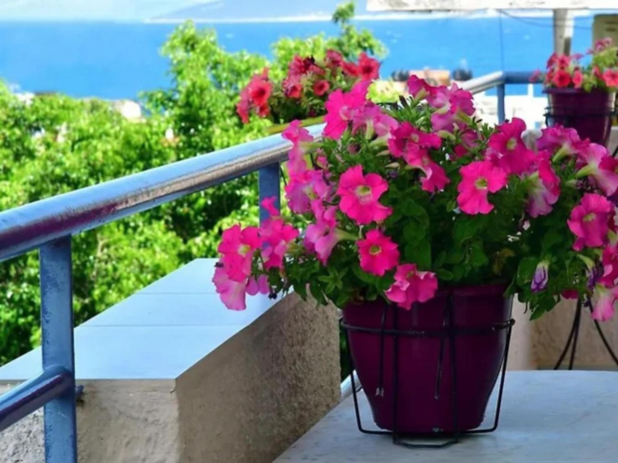 Konstantinos Apartments Tolón Buitenkant foto